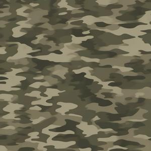 camouflage pattern of a military green and brown color