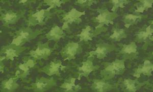 camouflage wallpaper with a green background and a black border