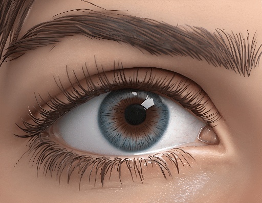 realistic illustration of a woman's eye with long eyelashes