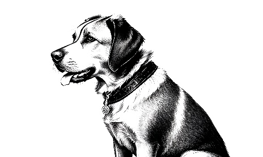 drawing of a dog sitting on a white surface